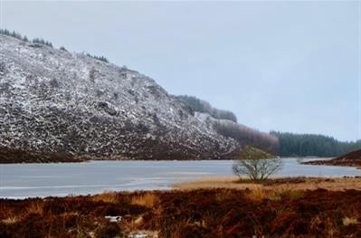 Loch na Creige (A826)