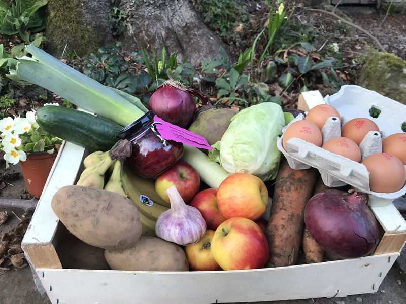 Organic vegetable box for delivery