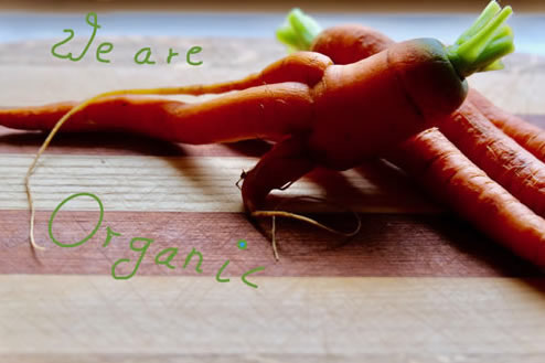 Organic Welltree - we are organic