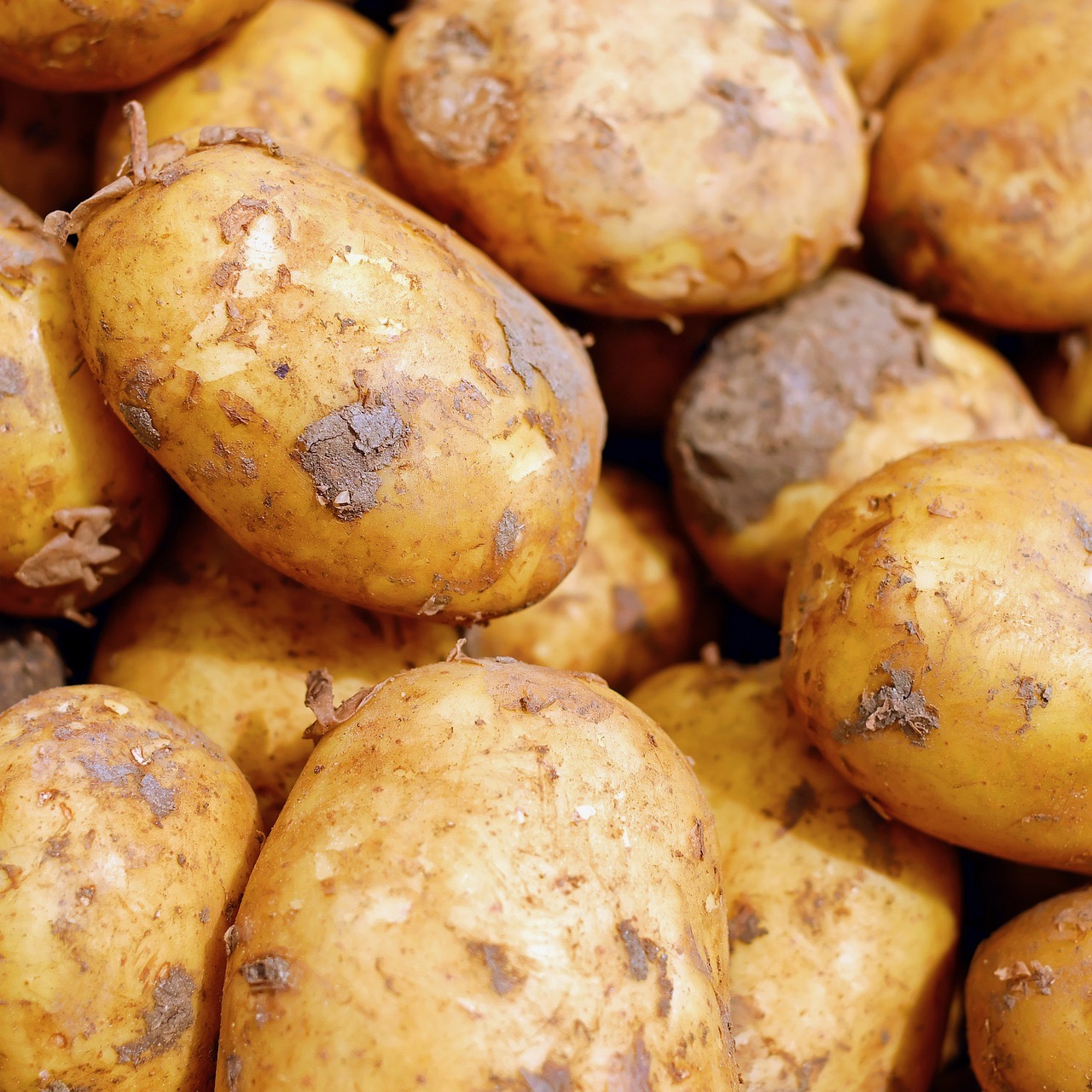 New Potatoes Organic (1kg) 