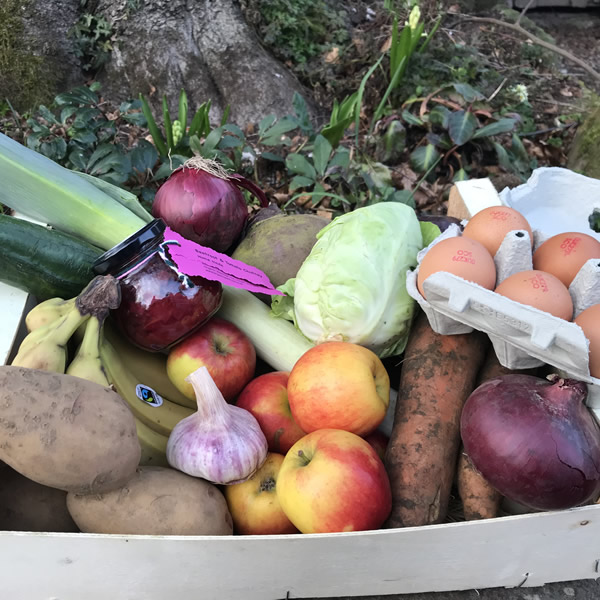 Vegetable & Fruit Box - Large